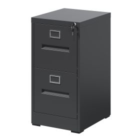 2 Drawer File Cabinet with Lock Metal Vertical File Cabinet Office Home, A4 Legal/Letter Size Narrow File Cabinet Locked,Assembly Required (Color: Black)